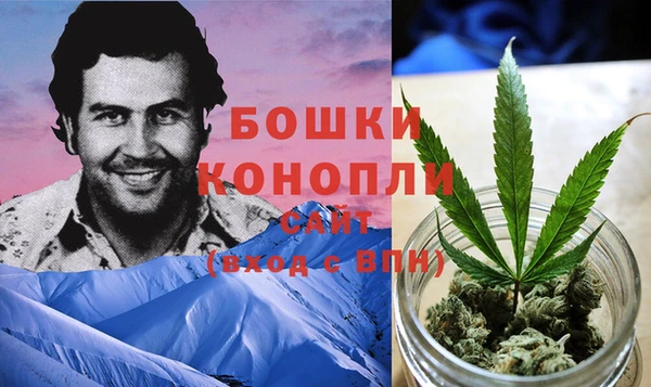 стафф Аркадак