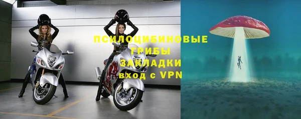 прущая мука Арсеньев