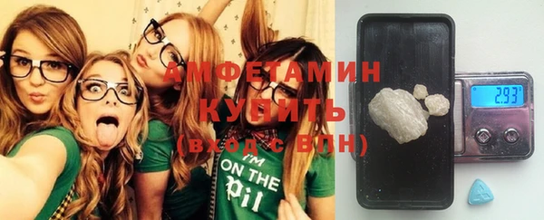 стафф Аркадак