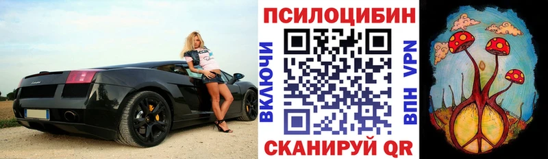 darknet как зайти  mega зеркало  Галлюциногенные грибы ЛСД  Пушкино  сколько стоит 