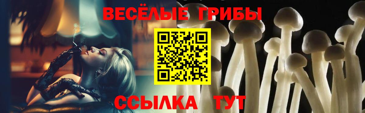 Псилоцибиновые грибы MAGIC MUSHROOMS Пушкино